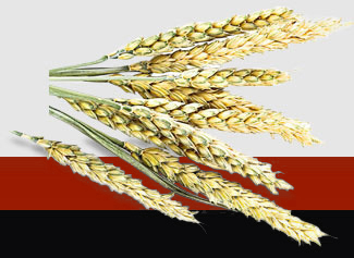 ��ҳ| 9001cc��ɳ�����Գ�Ϊ������