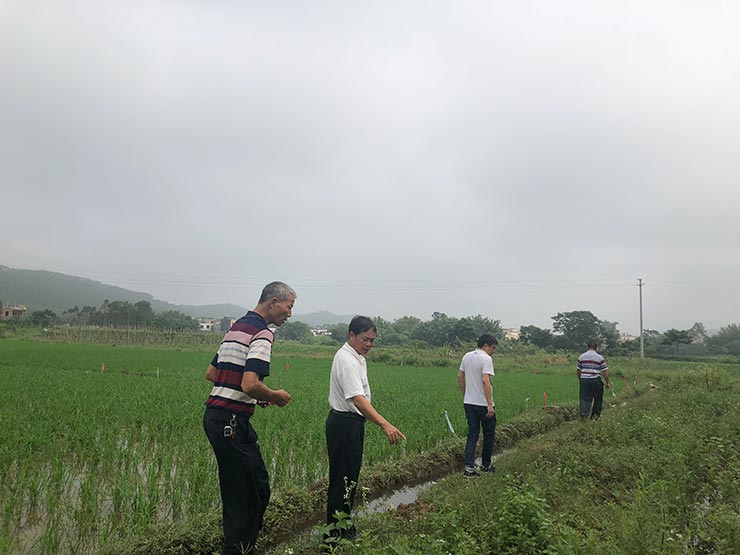 ��ҳ| 9001cc��ɳ�����Գ�Ϊ������