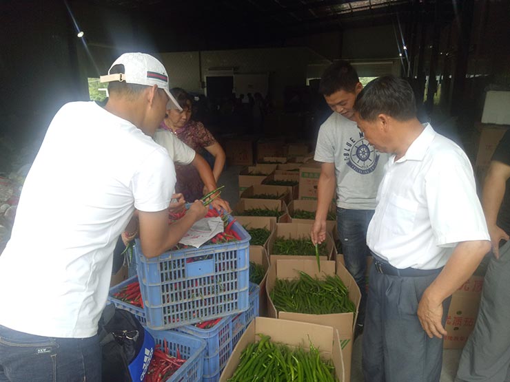 ��ҳ| 9001cc��ɳ�����Գ�Ϊ������