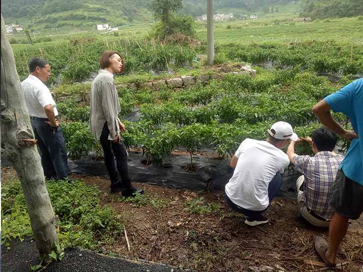 ��ҳ| 9001cc��ɳ�����Գ�Ϊ������