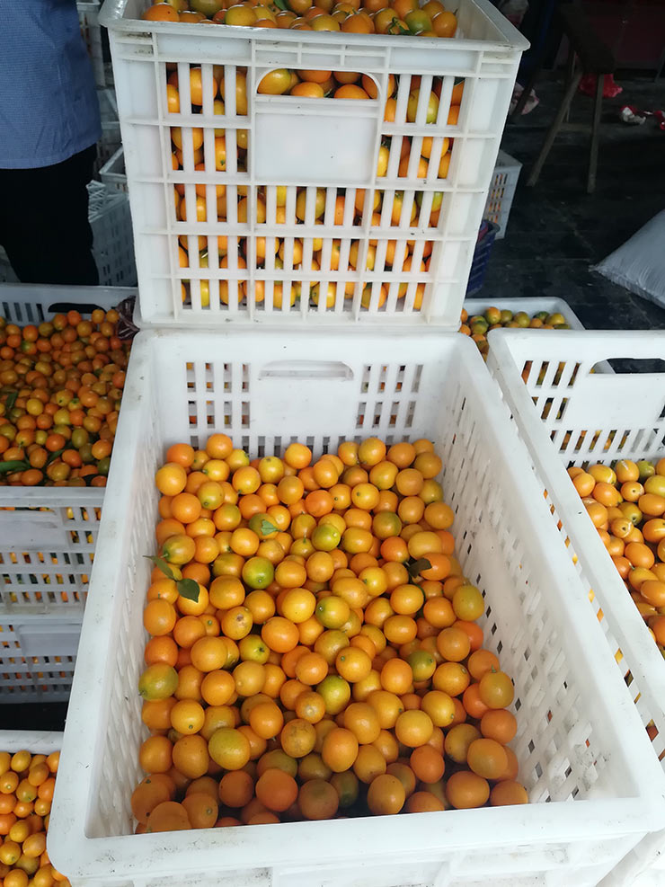 ��ҳ| 9001cc��ɳ�����Գ�Ϊ������