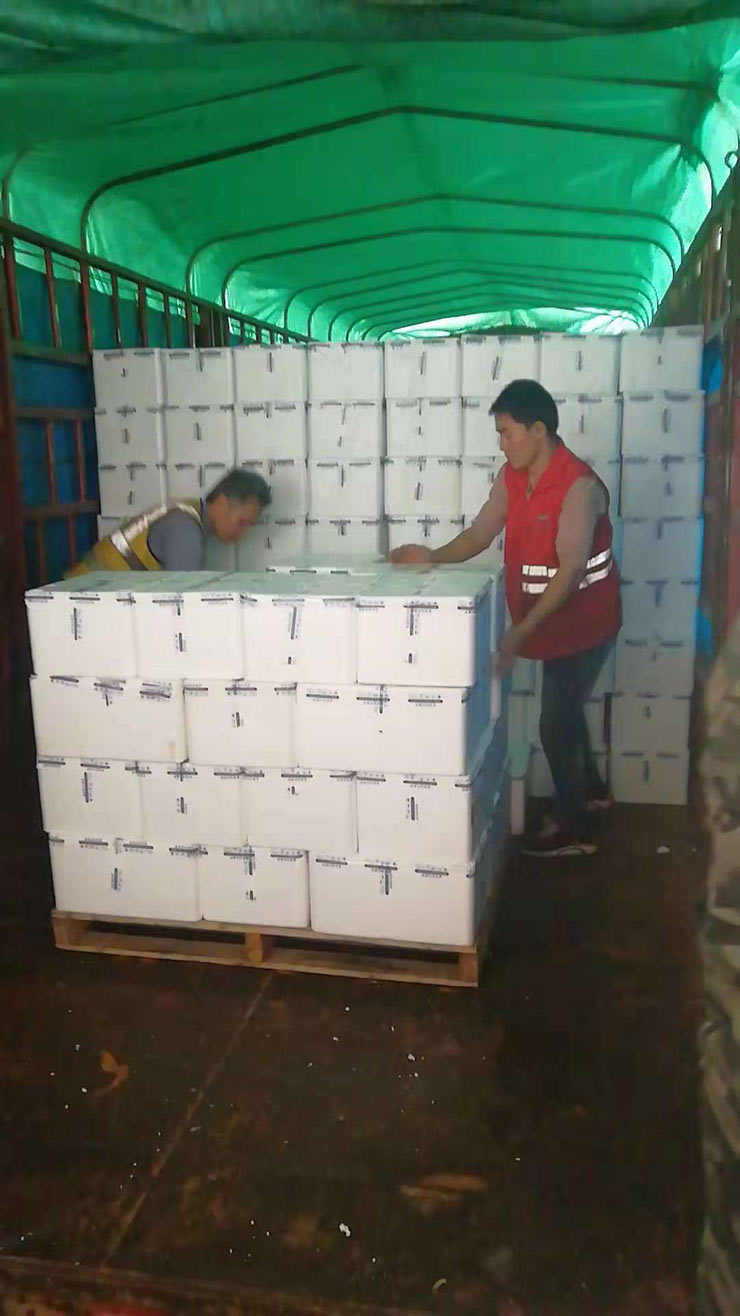 ��ҳ| 9001cc��ɳ�����Գ�Ϊ������