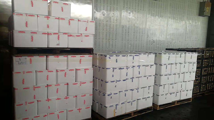 ��ҳ| 9001cc��ɳ�����Գ�Ϊ������