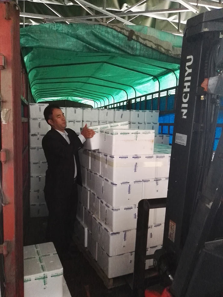 ��ҳ| 9001cc��ɳ�����Գ�Ϊ������