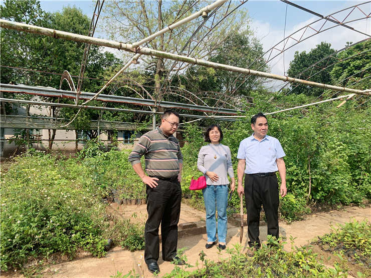 ��ҳ| 9001cc��ɳ�����Գ�Ϊ������