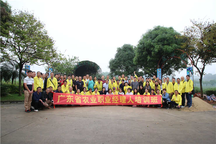 ��ҳ| 9001cc��ɳ�����Գ�Ϊ������