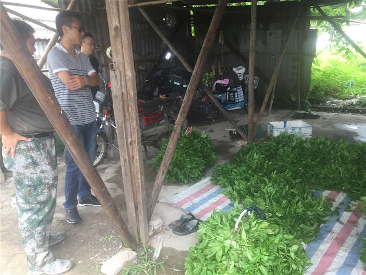 ��ҳ| 9001cc��ɳ�����Գ�Ϊ������