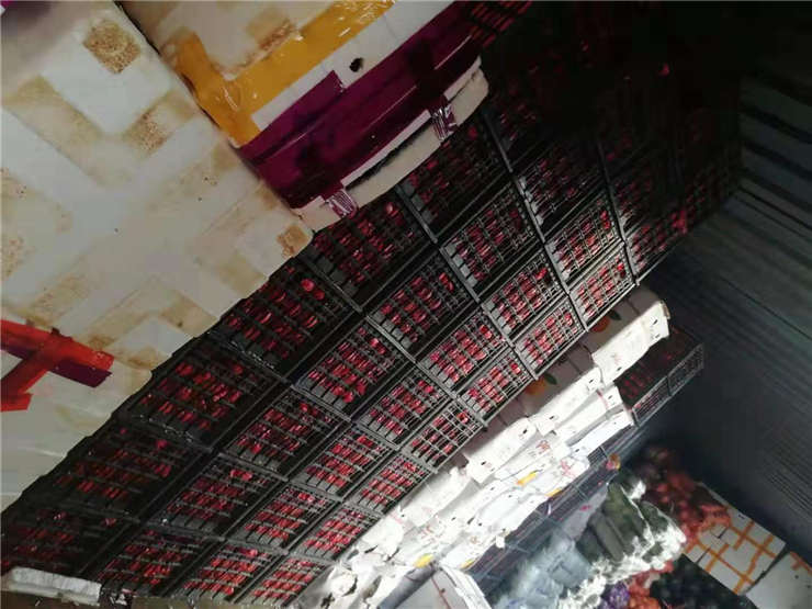 ��ҳ| 9001cc��ɳ�����Գ�Ϊ������