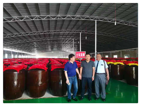 ��ҳ| 9001cc��ɳ�����Գ�Ϊ������