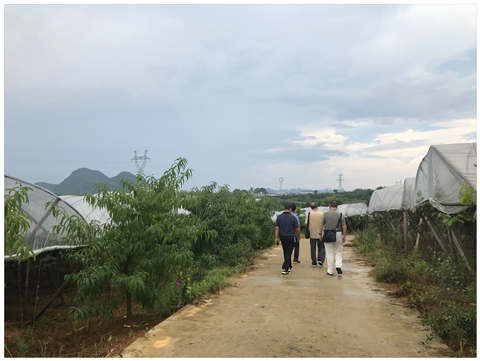 ��ҳ| 9001cc��ɳ�����Գ�Ϊ������