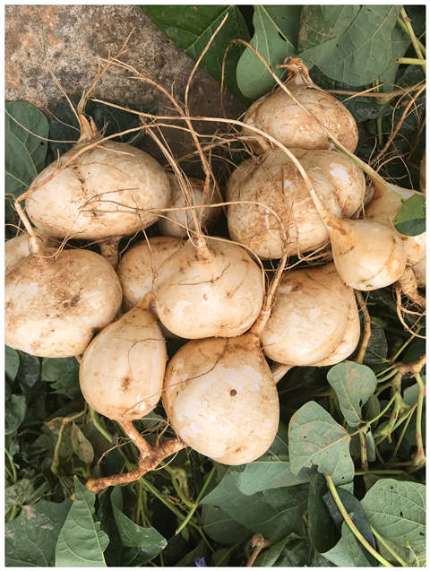 ��ҳ| 9001cc��ɳ�����Գ�Ϊ������