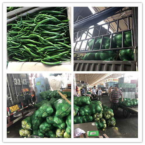 ��ҳ| 9001cc��ɳ�����Գ�Ϊ������