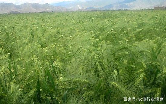 ��ҳ| 9001cc��ɳ�����Գ�Ϊ������