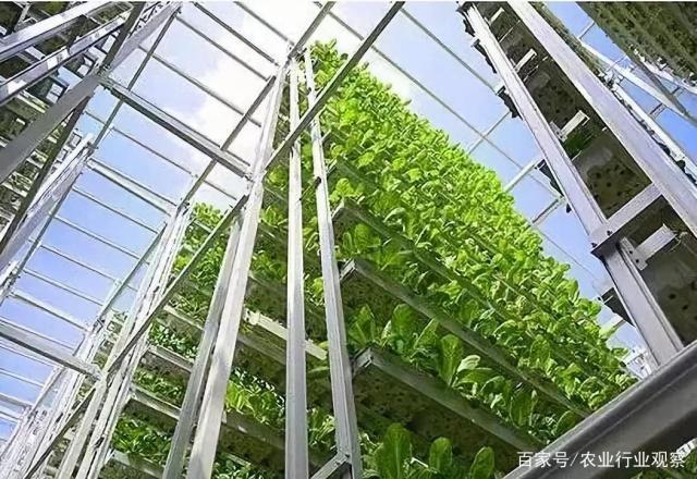 ��ҳ| 9001cc��ɳ�����Գ�Ϊ������