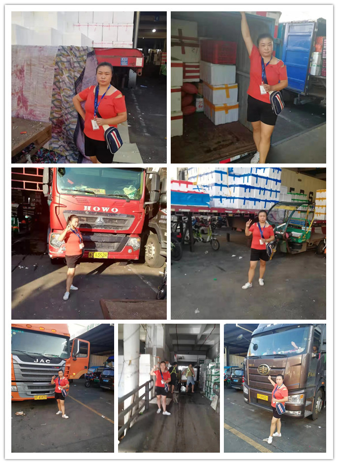 ��ҳ| 9001cc��ɳ�����Գ�Ϊ������
