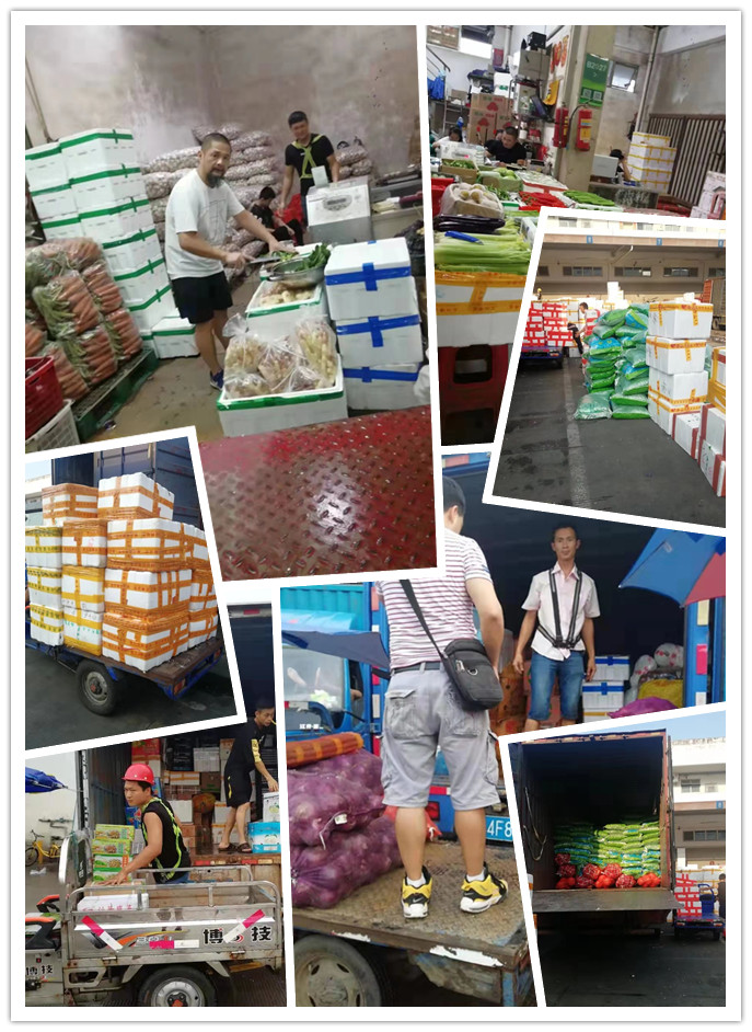 ��ҳ| 9001cc��ɳ�����Գ�Ϊ������