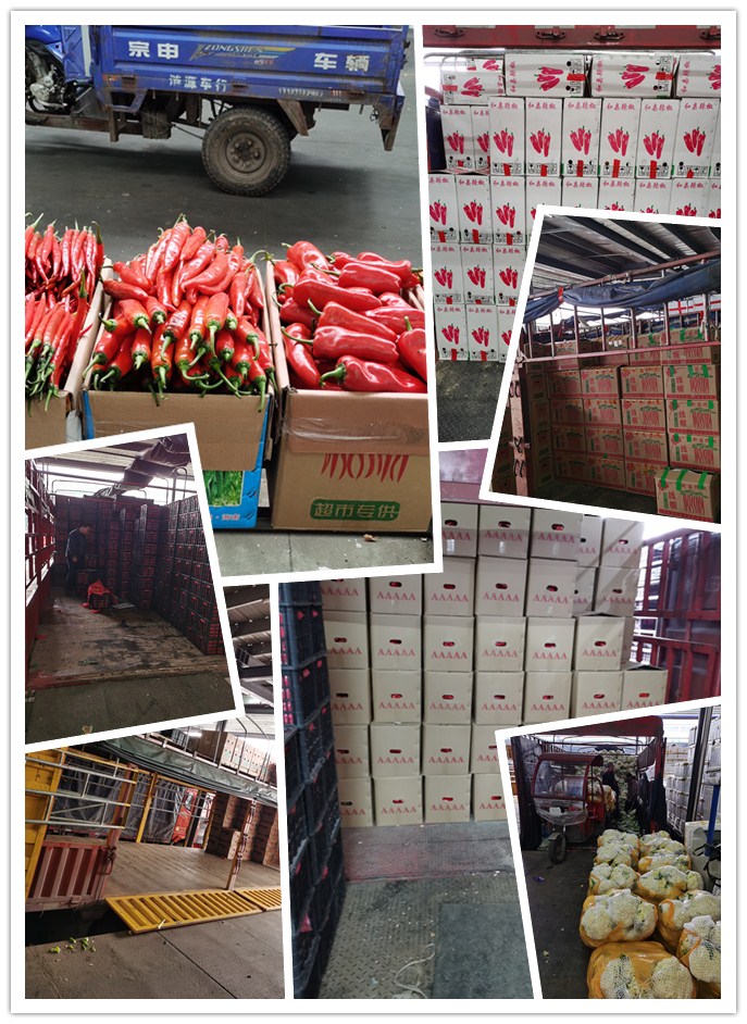 ��ҳ| 9001cc��ɳ�����Գ�Ϊ������