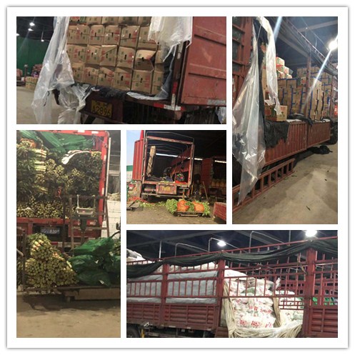 ��ҳ| 9001cc��ɳ�����Գ�Ϊ������