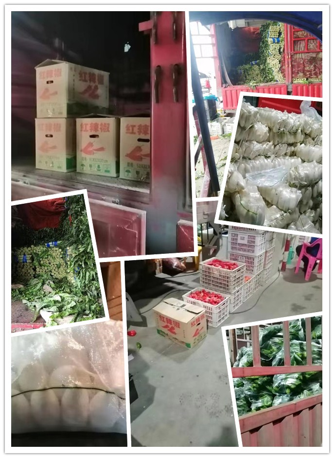 ��ҳ| 9001cc��ɳ�����Գ�Ϊ������