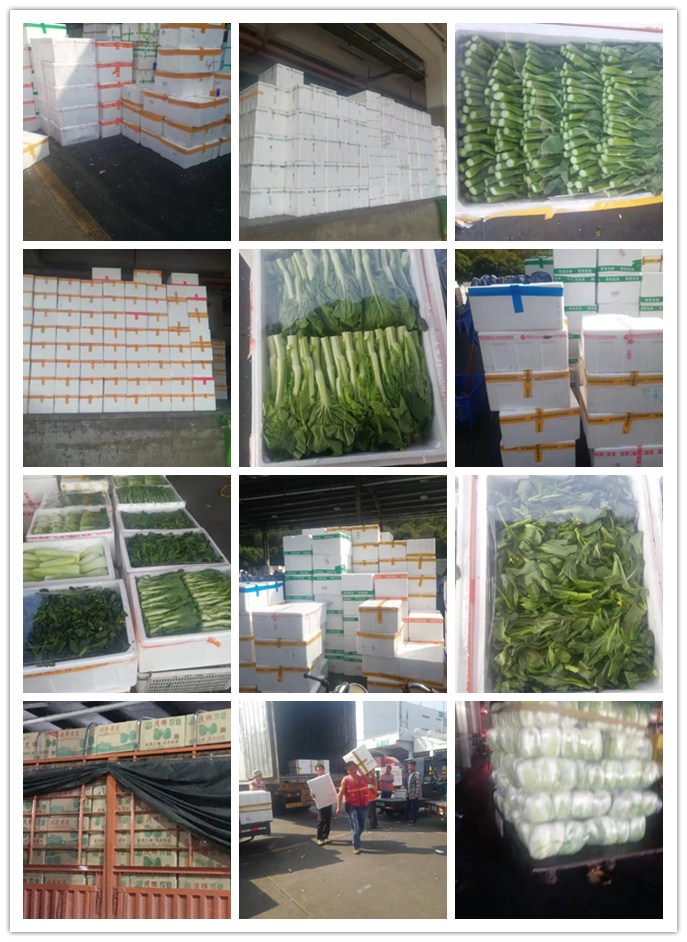 ��ҳ| 9001cc��ɳ�����Գ�Ϊ������