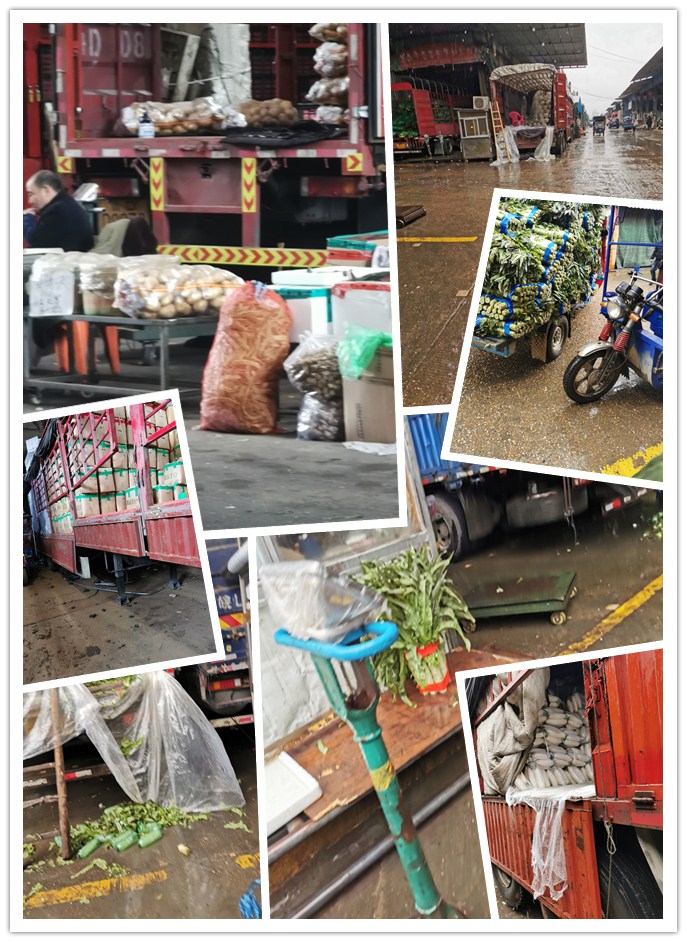 ��ҳ| 9001cc��ɳ�����Գ�Ϊ������