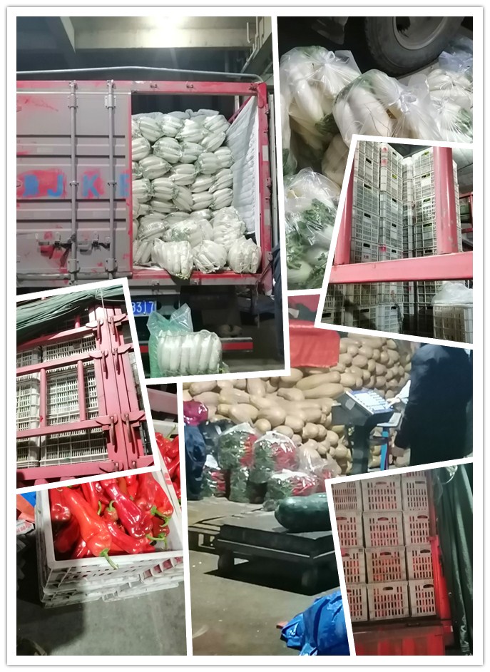 ��ҳ| 9001cc��ɳ�����Գ�Ϊ������