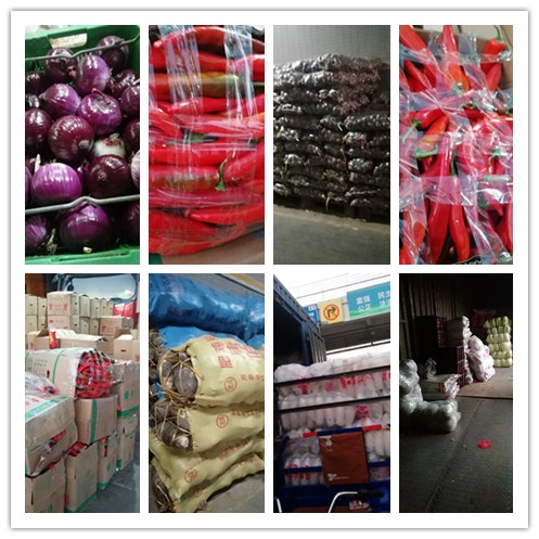 ��ҳ| 9001cc��ɳ�����Գ�Ϊ������