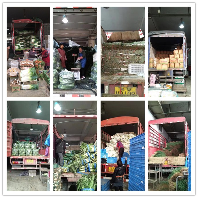 ��ҳ| 9001cc��ɳ�����Գ�Ϊ������