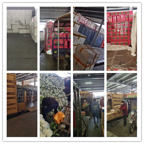 ��ҳ| 9001cc��ɳ�����Գ�Ϊ������