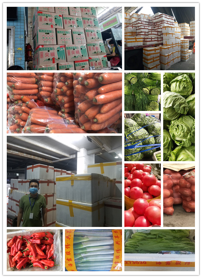 ��ҳ| 9001cc��ɳ�����Գ�Ϊ������