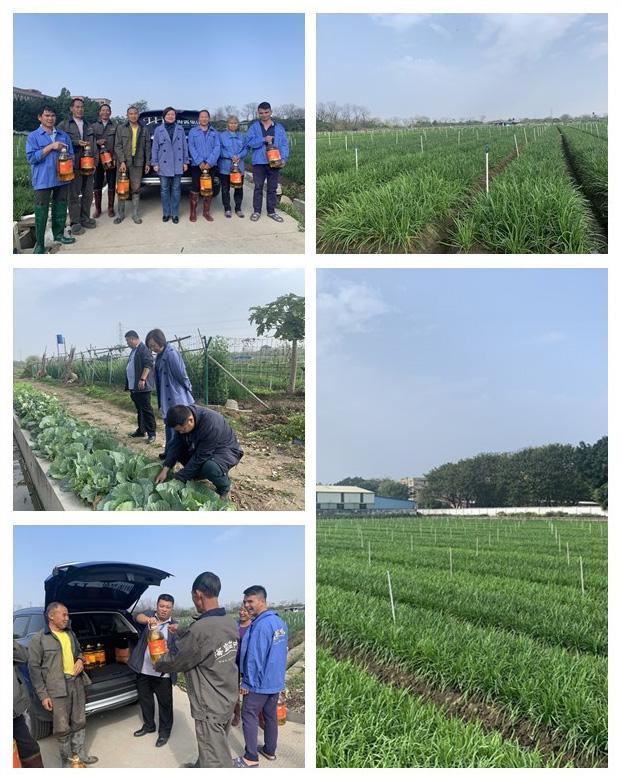 ��ҳ| 9001cc��ɳ�����Գ�Ϊ������