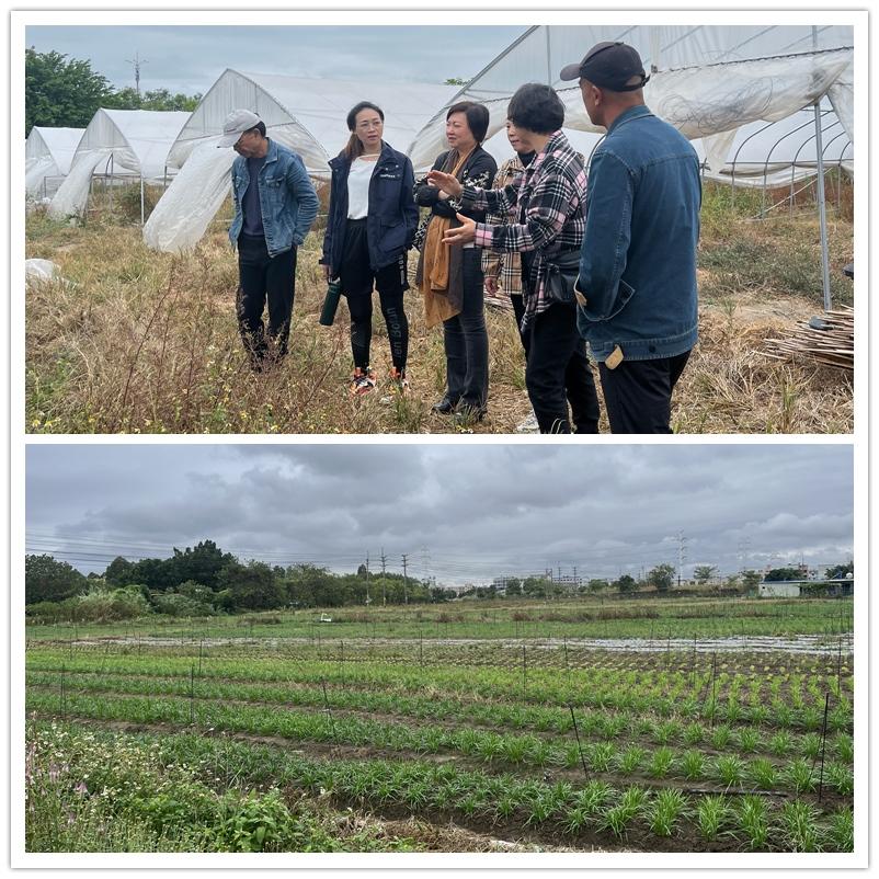 ��ҳ| 9001cc��ɳ�����Գ�Ϊ������