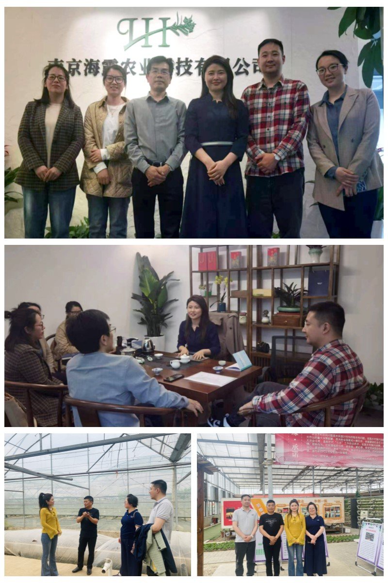 ��ҳ| 9001cc��ɳ�����Գ�Ϊ������