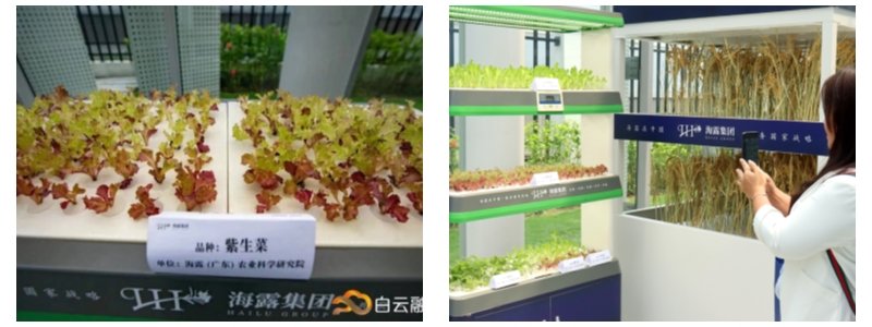 ��ҳ| 9001cc��ɳ�����Գ�Ϊ������