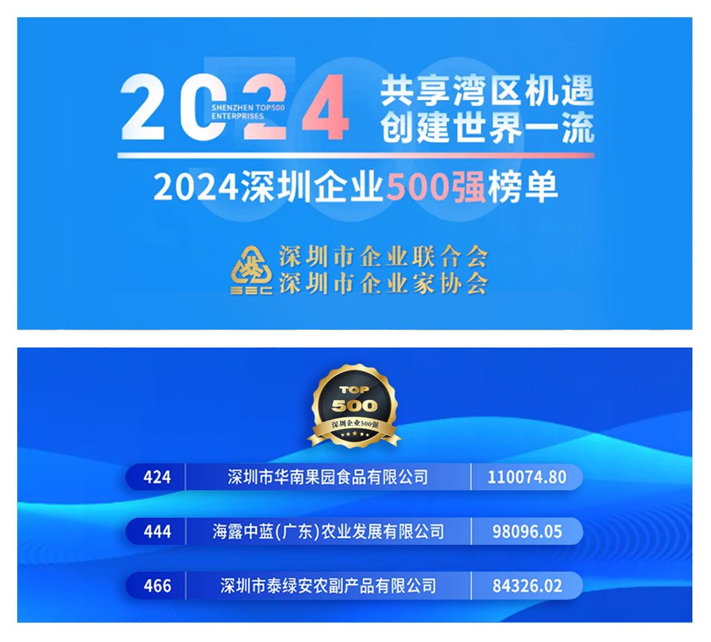 1-241220141S4940 首页| 9001cc金沙集团以诚为本官网