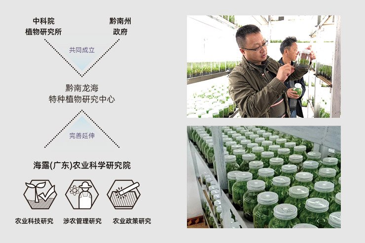 ��ҳ| 9001cc��ɳ�����Գ�Ϊ������