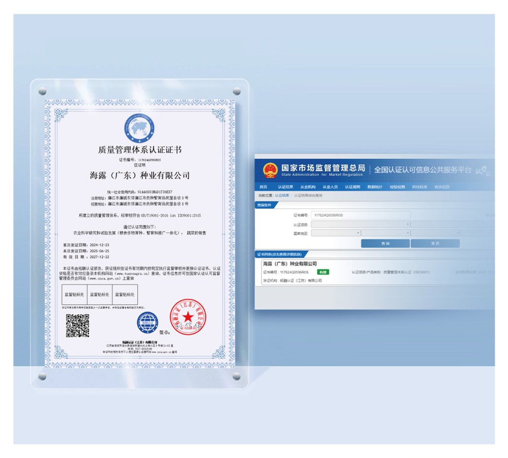 1-250G0144920947 首页| 9001cc金沙集团以诚为本官网